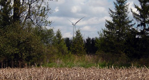 Napier Wind Farm